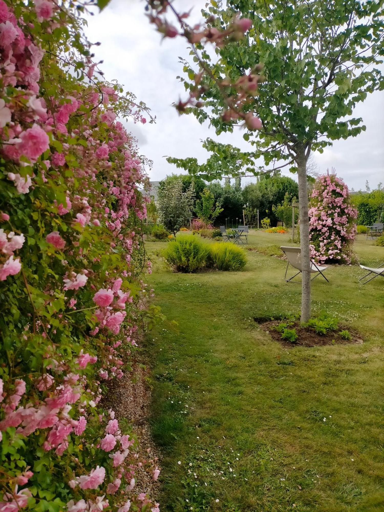 Bnb La Neo Bretonne Minihy-Treguier Exterior photo